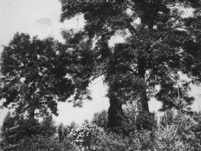 Historické fotografie Poděbrad 02 – fotka 38