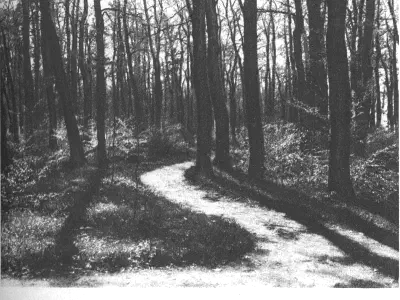 Historické fotografie Poděbrad 03 – fotka 24