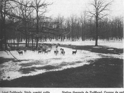 Historické fotografie Poděbrad 03 – fotka 25