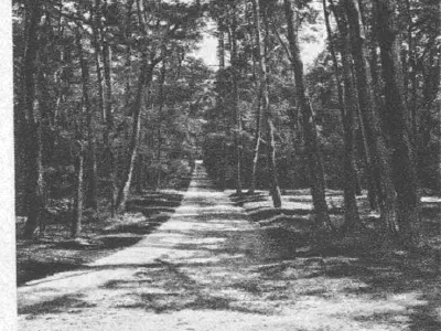 Historické fotografie Poděbrad 03 – fotka 31