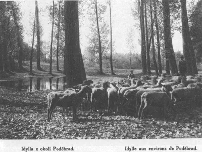 Historické fotografie Poděbrad 03 – fotka 35