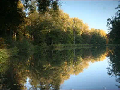 Kuris fotí v Poděbradech a okolí 1 – fotka 10