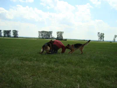 Den otevřených dveří v Čáslavi 2009 - pokračování – fotka 23