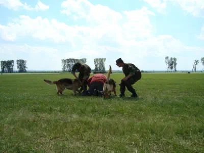 Den otevřených dveří v Čáslavi 2009 - pokračování – fotka 24