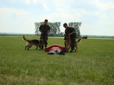 Den otevřených dveří v Čáslavi 2009 - pokračování – fotka 25