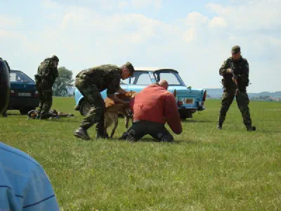 Den otevřených dveří v Čáslavi 2009 - pokračování – fotka 29