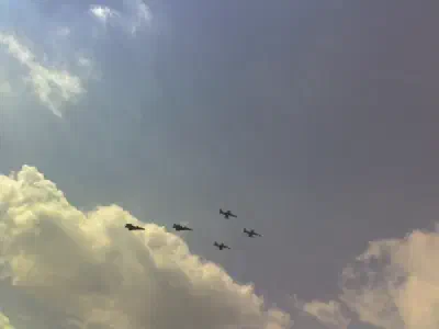 Roj 3xL-159 ALCA, 2xJAS-39C Gripen