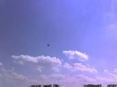 Den otevřených dveří v Čáslavi 2009 – fotka 29